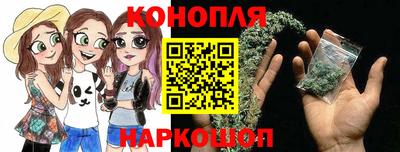 крисы Донской