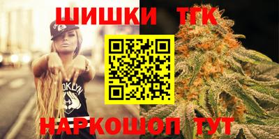 индика Дубна