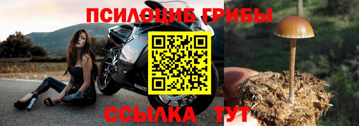 Малоярославец  Галлюциногенные грибы MAGIC MUSHROOMS  Псилоцибиновые грибы GOLDEN TEACHER  Вход с VPN 