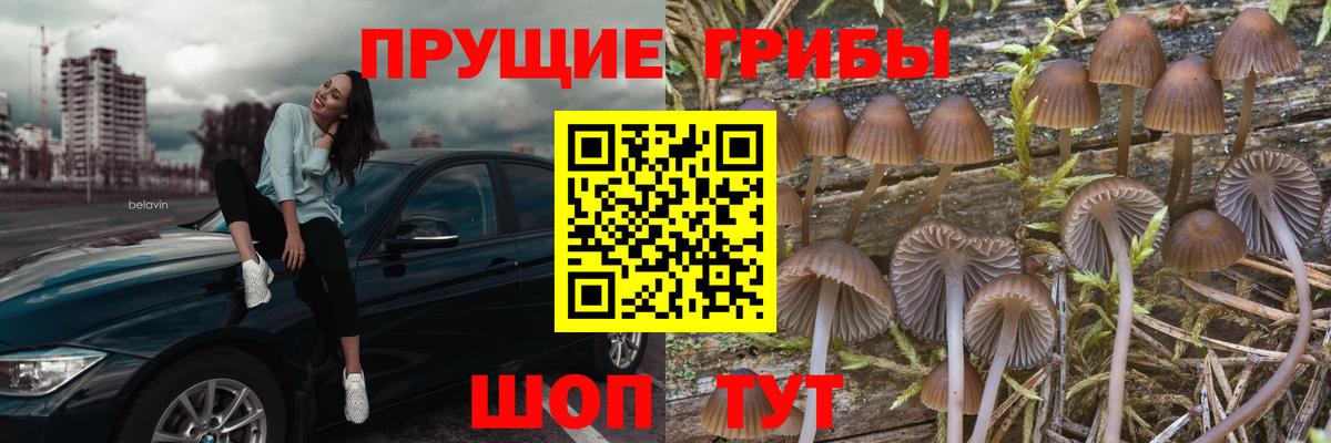 Галлюциногенные грибы мухоморы Малоярославец