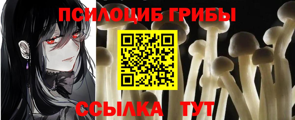 Псилоцибиновые грибы ЛСД  закладки  Малоярославец 